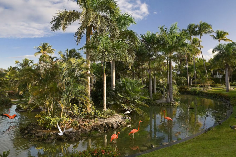 Melia Caribe Beach Resort