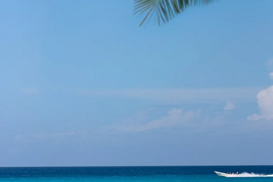 Sunscape Dominicus La Romana