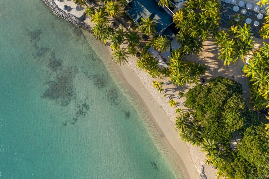 The Ravenala Attitude