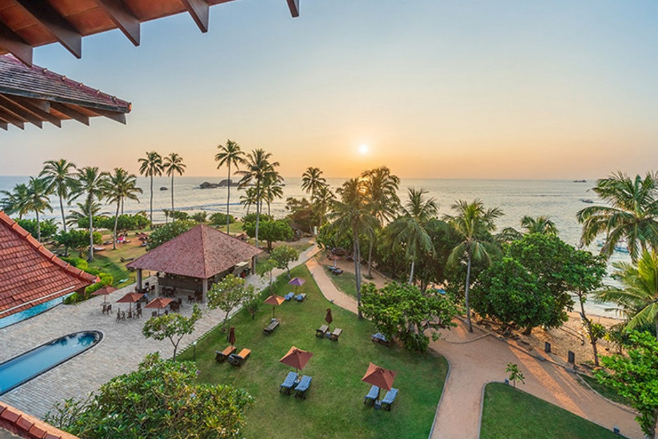 Hikka Tranz by Cinnamon