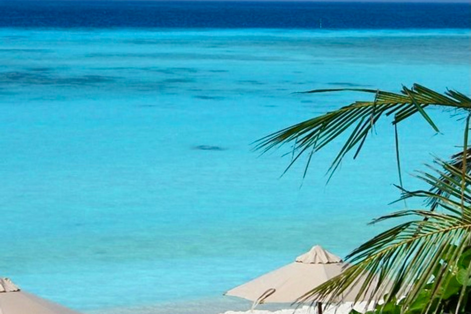 The Barefoot Eco Hotel